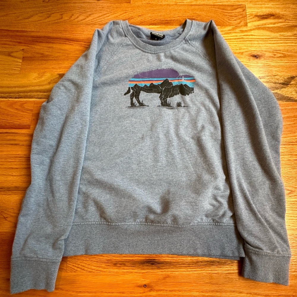 Patagonia lightweight sweatshirt sz M